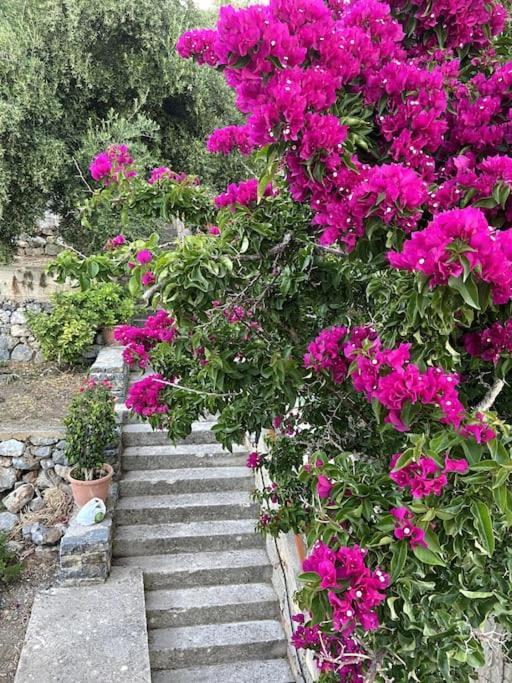 Villa Kamari- Stunning Views Kritsá Екстериор снимка